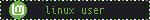Blinkie: Linux Mint user